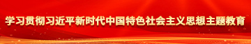 二男操美女学习贯彻习近平新时代中国特色社会主义思想主题教育